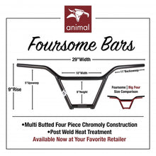 Load image into Gallery viewer, Animal Foursome Bars 9 or 9.5”
