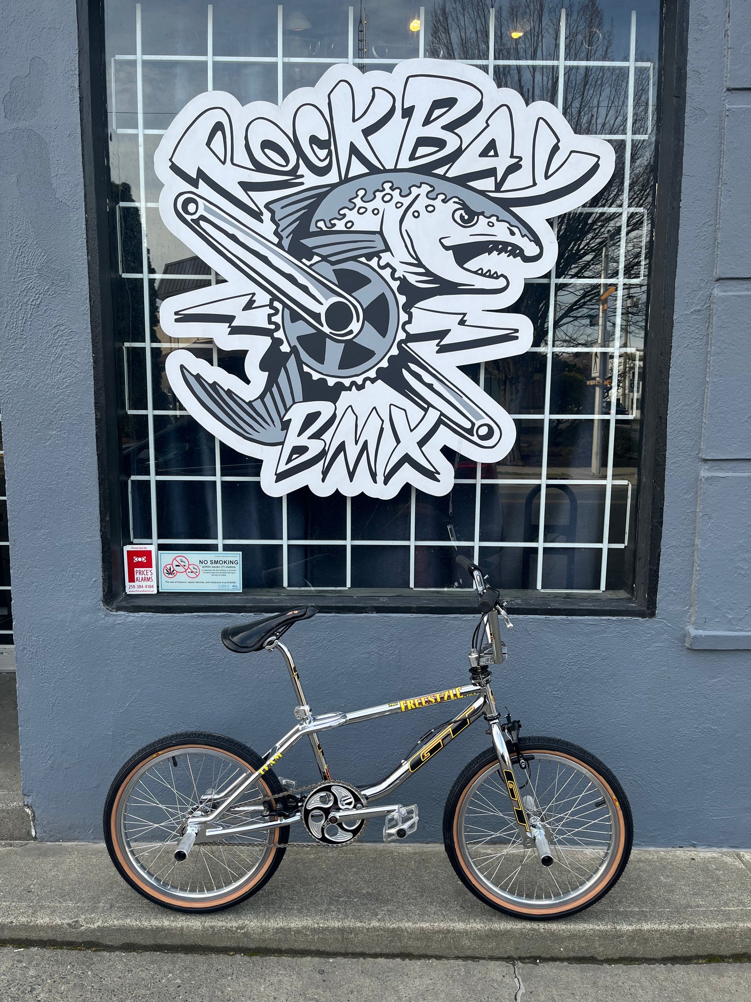 1996 gt pro freestyle tour sales